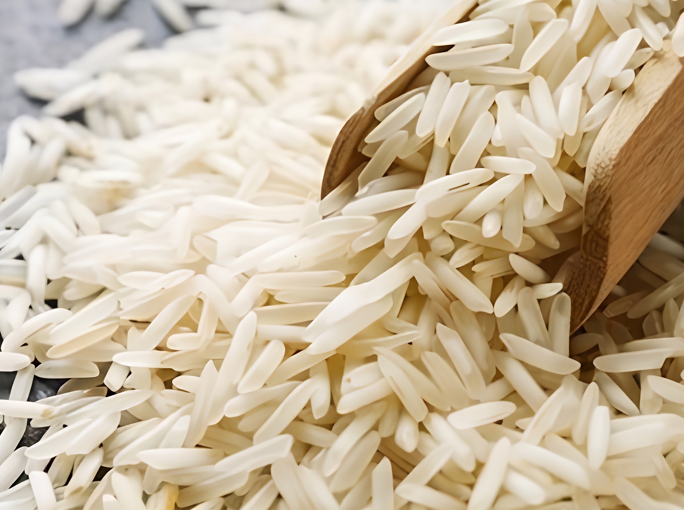 Premium basmati rice